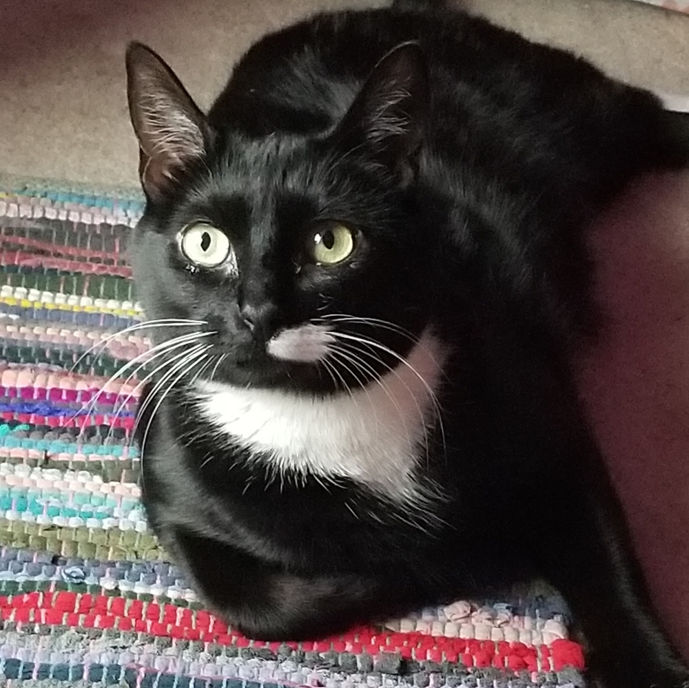 Meet your Posher, Sarah